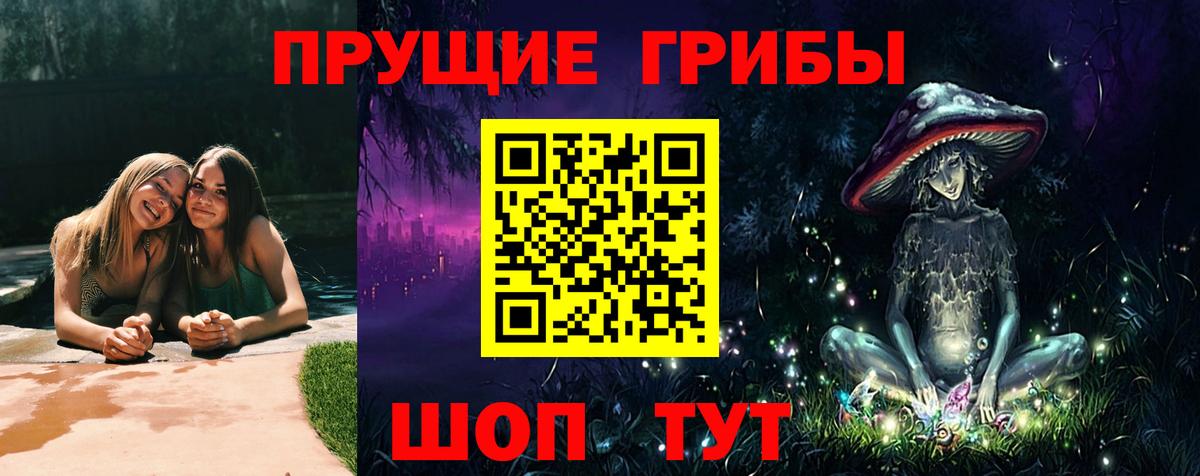 Псилоцибиновые грибы ЛСД  Псилоцибиновые грибы ЛСД  Богородск  Вход с VPN 